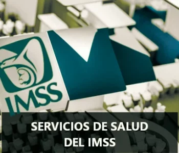 Servicios-de-Salud-del-IMSS